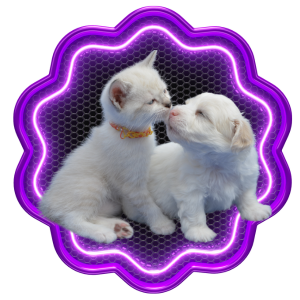 Pet Shop
